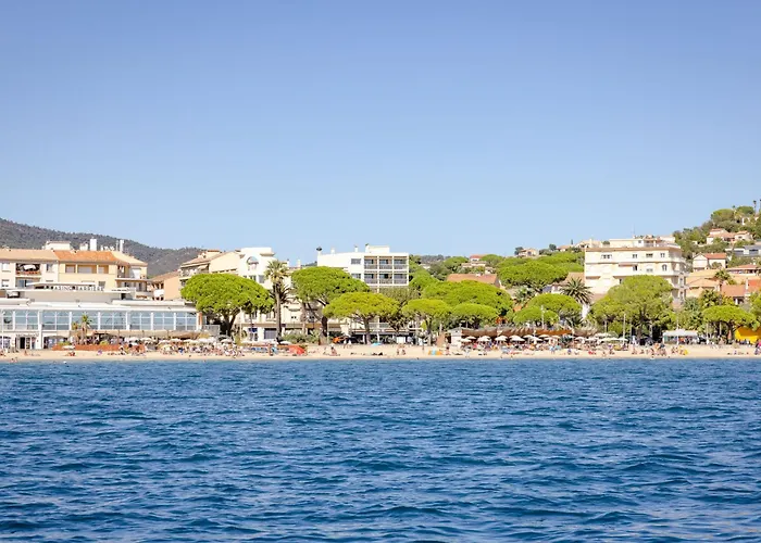 Les Coralines-3 By Interhome Apartment Sainte-Maxime